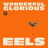 A thumbnail of the cover image of Wonderful, Glorious by Eels