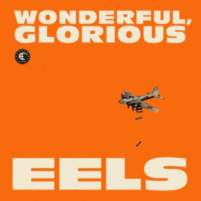 The cover image of Wonderful, Glorious by Eels